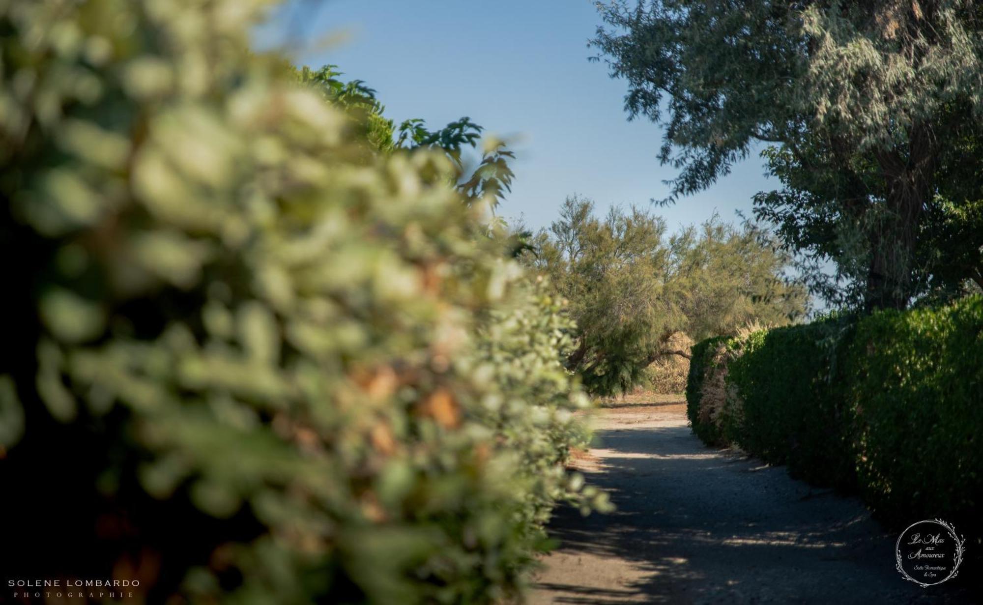 Le Mas Aux Amoureux , Suite Romantique Et Spa Le Barcarès Exterior foto